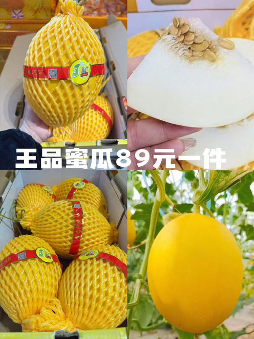 新年送礼 哈蜜瓜 芒果 青枣龙眼专用链接 商品图2