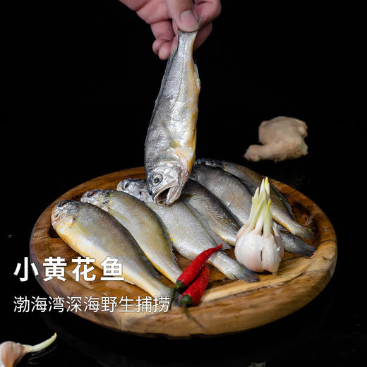【4份包邮】小黄花鱼500g 渤海湾深海野生捕捞，跟养殖的大黄花鱼不一样⭐️顺丰快递 商品图3
