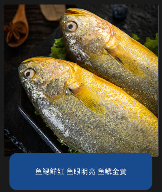 鲜活速冻锁鲜生态大黄鱼550g*3条 商品图1