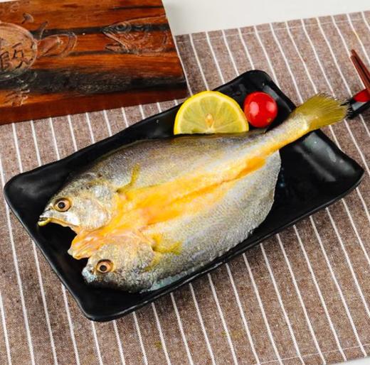 鲜到鲜得速冻锁鲜开背大黄鱼400g*3条去鳞去鳃去内脏 商品图0
