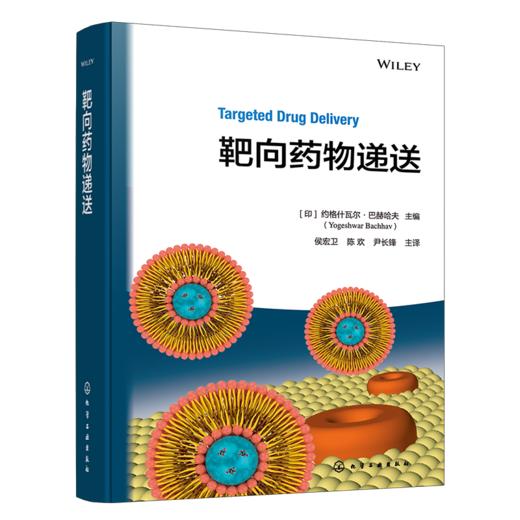 靶向药物递送 商品图1