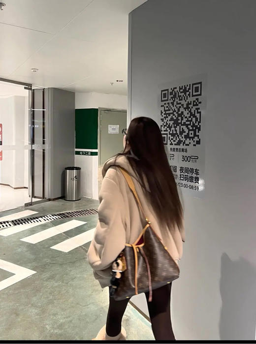 LV 老花 carryall 小号 斜挎包 商品图3