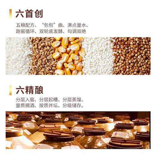 五粮液-丝路花雨 抚琴  52度浓香型白酒礼盒 商品图3