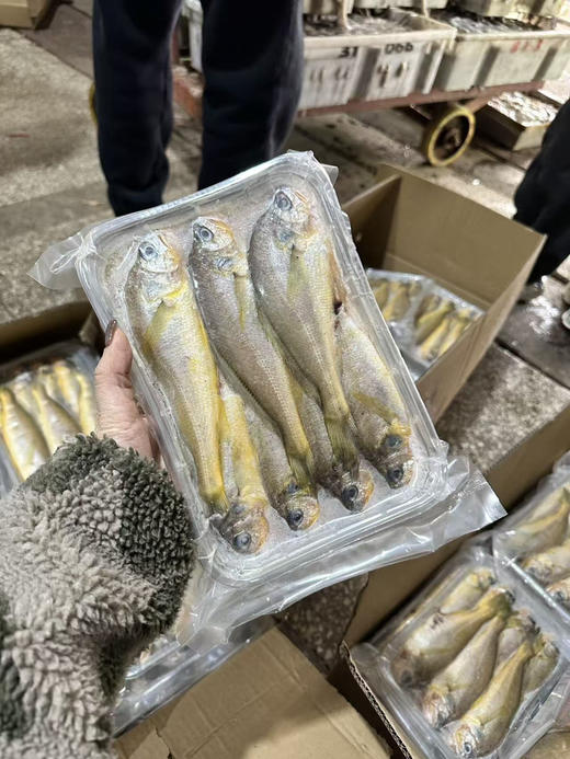周三取货：【吕四小黄鱼】一盒1斤左右，约6-7条，颜色金黄，纯野生，鲜美无比！黄鱼中的上品！ 商品图4