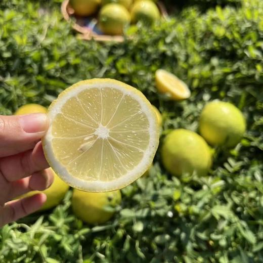 甜柠檬丨一颗不酸的柠檬，散发淡淡的柠檬香气，果肉多汁口感清甜，多种食用方法⭐️顺丰快递 商品图1