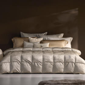 罗莱 意大利进口鹅绒被-四季（限量版）米色