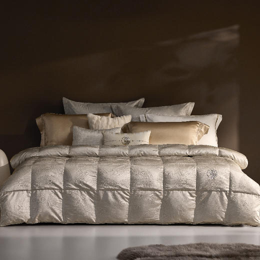 罗莱 意大利进口鹅绒被-四季（限量版）米色 商品图0