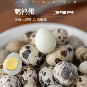 生态鹌鹑蛋丨低密度养殖，以五谷杂粮为食，无抗，蛋香浓郁无腥味、2斤装（80-110枚）⭐️顺丰快递