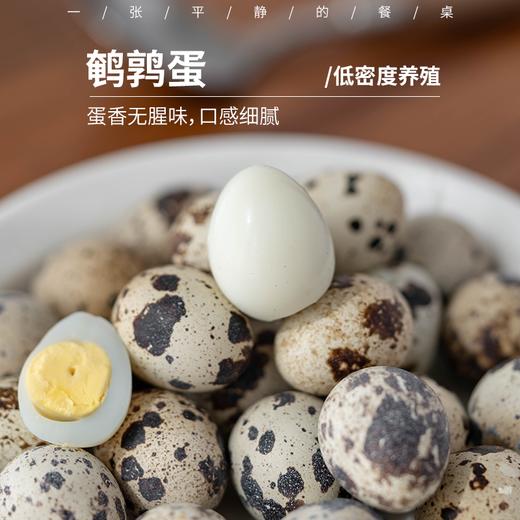生态鹌鹑蛋丨低密度养殖，以五谷杂粮为食，无抗，蛋香浓郁无腥味、2斤装（80-110枚）⭐️顺丰快递 商品图0