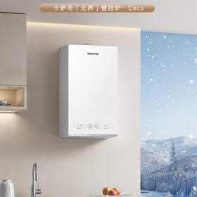 卡萨帝（Casarte）壁挂炉 LL1PBD30-CEcoNPXGU1