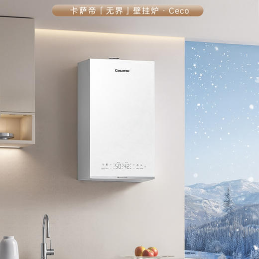 卡萨帝（Casarte）壁挂炉 LL1PBD30-CEcoNPXGU1 商品图0