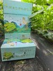 海阳乳黄瓜 （脆玉3号减脂黄瓜）火爆的低GI（低升糖）好食材 商品缩略图4