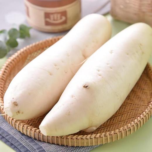 有机白萝卜 500g/份 商品图0