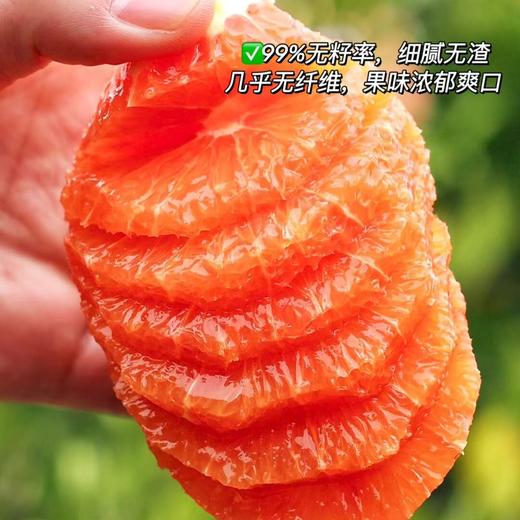 【秭归中华红橙】脐橙之乡湖北秭归新鲜采摘发货，皮薄肉厚，果肉脆嫩化渣，汁多味浓，橙子中的颜值担当 商品图4