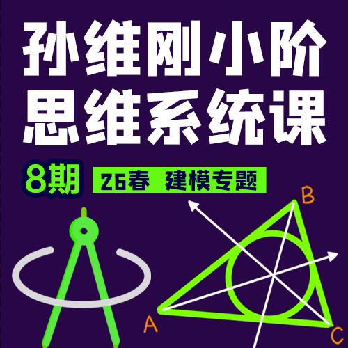 孙维刚小阶思维系统课8期 商品图0