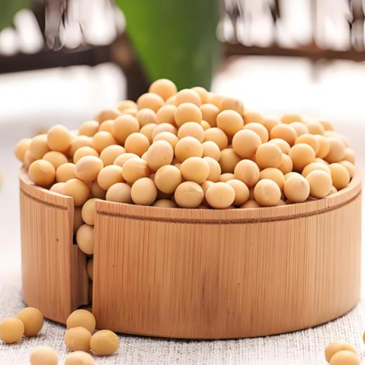 【杂粮精选】五谷滋养之有机黄豆 中国杂粮之都 山西忻州基地种植 有机认证 非转基因 山地种植 实现健康养生大自由 商品图1