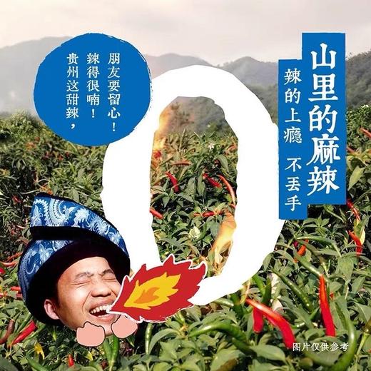 [屁侠推荐]土豆片届的权威 贵州甜辣风味土豆片 大头龙甜辣土豆片 原切土豆片 外脆内酥 商品图3