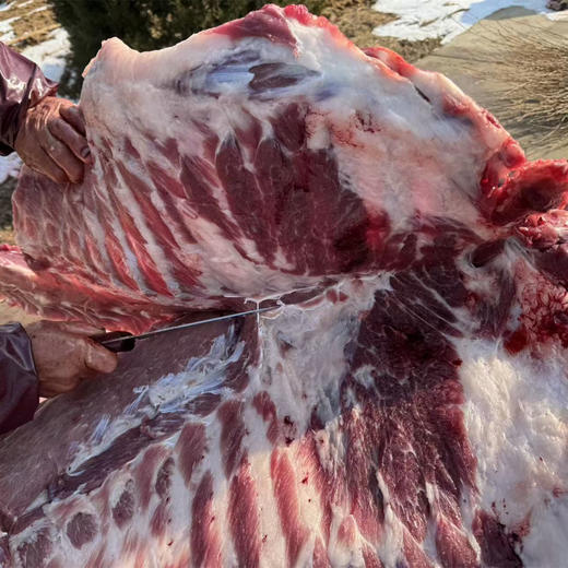 【排单发货】黑猪肉 | 粮食喂养十二个月的黑猪，肥而不腻，有排骨，五花肉，瘦肉，大骨头，猪蹄，猪肘可选，⭐️顺丰快递 商品图6