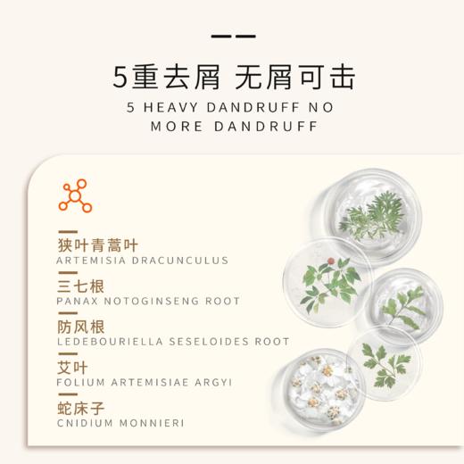 ⁵近效清仓39.9元洗发水套装【2瓶洗发乳+1瓶精华素】水解角蛋白+麦醇溶蛋白 效期26.10.17 YY05-QTT-EZZ 商品图2