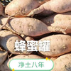 米花有机红薯 商品缩略图1