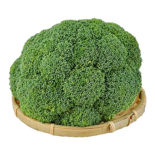 有机西兰花 350g/个 商品图0