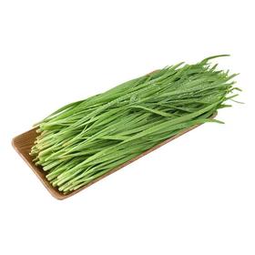 有机韭菜 250g/份