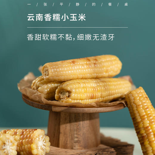 云南小玉米丨香甜软糯不黏牙，有老有嫩，从采摘到制作5小时锁鲜，有大有小，按斤发货。⭐️中通/圆通/韵达/极兔随机 商品图0