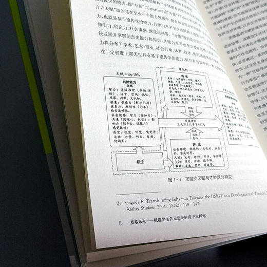 奠基未来 赋能学生多元发展的高中新探索 理想智库丛书ccc 商品图9