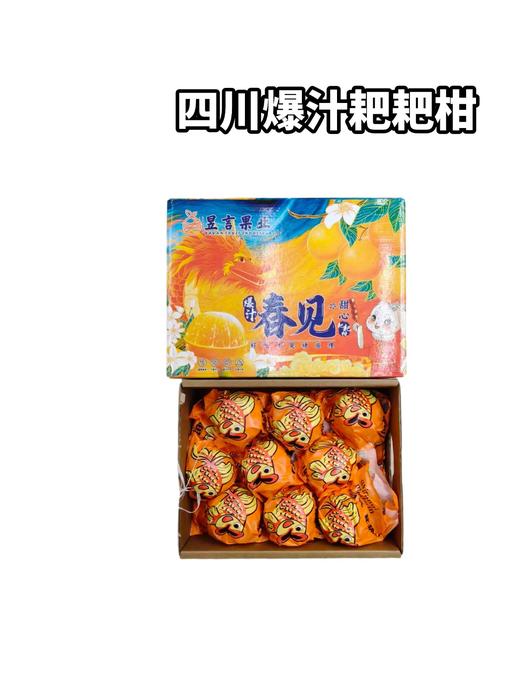 甜心爆汁耙耙柑   整箱净8.5斤上下 商品图0