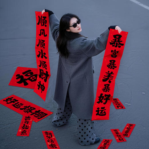 【新年氛围感拉满】2026过年拍照道具手持小对联迷你小号福字新年聚会手举牌饰品布置。jd 商品图3