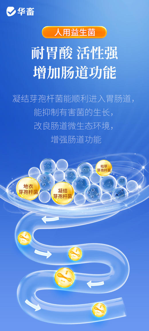 脱霉防利40斤 阻断毒素吸收修复肠道损伤 商品图4