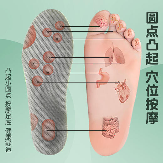 【粉丝专属❗️儿童艾草爆米花鞋垫】艾草净味，防臭清香，舒适按摩，干爽透气！运动男女宝宝专用踩屎感吸汗高弹减震4D云鞋垫 商品图2