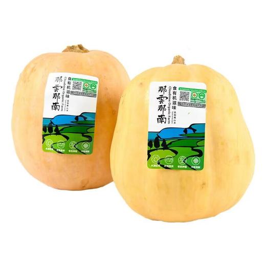 那云那南有机西施南瓜 900g/份 商品图1