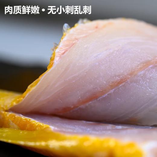 鲜到鲜得速冻锁鲜开背大黄鱼400g*3条去鳞去鳃去内脏 商品图1