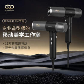 ABP专业无刷吹风机H6/专业沙龙发型师专用大功率大风力负离子速干护发造型电吹风