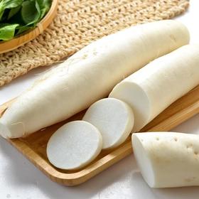 那云那南有机白萝卜 500g/份