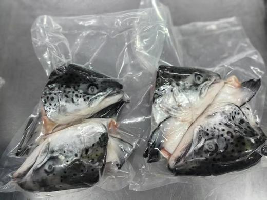 深海鲷鱼/三文鱼头/鲽鱼头丨活鱼鲜冻，鲷鱼肉质紧实无小刺，三文鱼头蒜瓣肉有胶质，鲽鱼头肉质细嫩，红烧/煲汤/香煎等，⭐️顺丰空运 商品图14