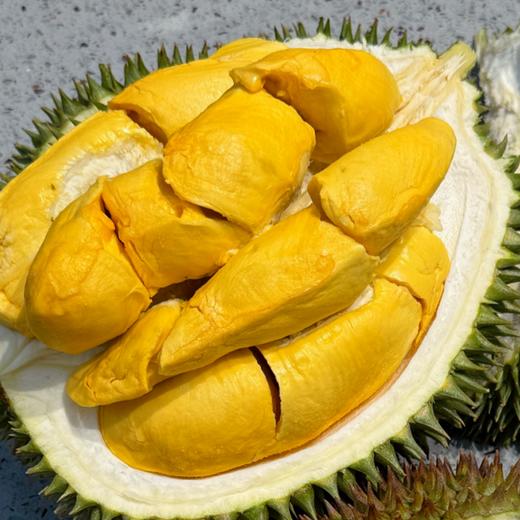 马来西亚液氮红肉仔榴莲丨马来西亚国民榴莲，入口有清甜香气，果肉绵柔丝滑，回味不像猫山王苦味而是带着一丝不易察觉的果酸⭐️顺丰快递 商品图1