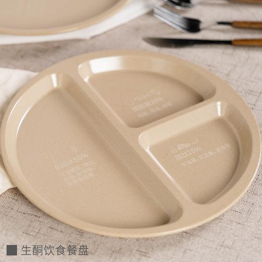 胡子叔科学饮食工具包丨餐盘（地中海饮食/生酮饮食）+饮食地图+搅拌杯+吨吨桶+工具箱+电热饭盒⭐️顺丰快递 商品图2