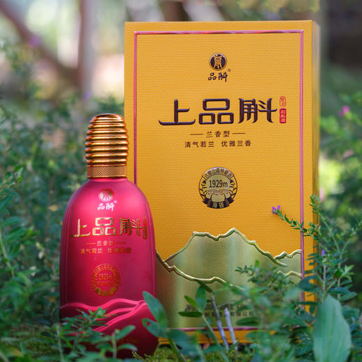【上品斛42°500ml】林藏两年 健康白酒不伤胃不上头 酒体醇和柔润 商品图3