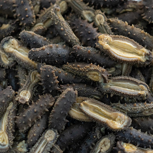 极客海参品鉴装（即食鲜参/干海参）丨鲜食高压海参，肉厚劲道自带鲜味丨独立包装，开袋即食，详情页里有我们对海参的认知，请一定阅读完。⭐️顺丰快递 商品图2