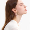 【宋轶同款】三彩2026新款极简风金属肌理耳圈耳环s925银针欧美 商品缩略图1