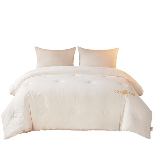 VP923133812011 博洋家纺 全棉棉花被水洗棉春秋被纯棉四季可用被子新疆棉被100棉花被芯【【净重约7斤】1.8-2米床/220*240cm】 商品图0