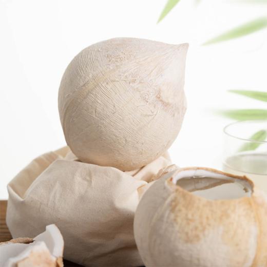 泰国奶香椰皇丨汁水清新甘甜细腻，椰肉白润鲜嫩，从外吃到内的水嫩，浓郁的椰香充盈口腔，⭐️顺丰快递，泡沫箱发货 商品图2