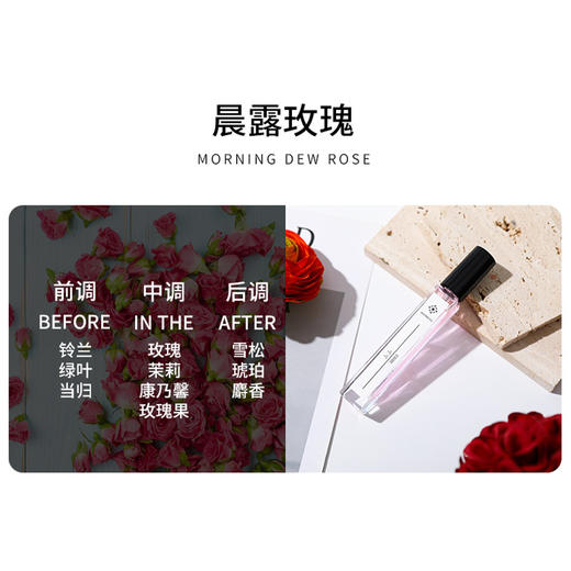 [透小蜜心选]【活动价￥29.9/2支】【巨划算！买一送一】WARMKISS蓝风铃香水 商品图9