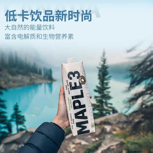 加拿大原装进口枫树液| 一款长在树里的高端饮品，特别适合运动人群、儿童、老人、女性，迅速补充体液，增加能量⭐️顺丰/京东/圆通随机发货 商品图3