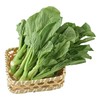 那云那南有机菜心 250g/份 商品缩略图4
