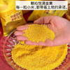 石家庄优选仓库速达，苏瑆农场有机小米，色泽黄润均匀，米粒饱满圆润，保留原始小米的原色原香，净重2.52kg礼盒装（420g*6） 商品缩略图6
