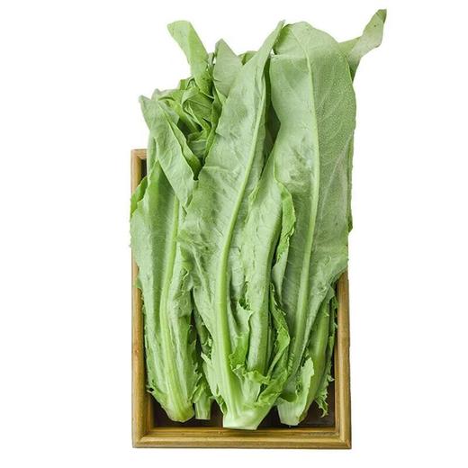 那云那南有机油麦菜 250g/份 商品图1