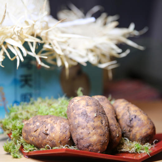 生态乌天麻| 新鲜/干片，产地：云南昭通，收到后带泥保存，蒸，煎，炖，煮，炒，煲汤都可以。⭐️顺丰快递 商品图5